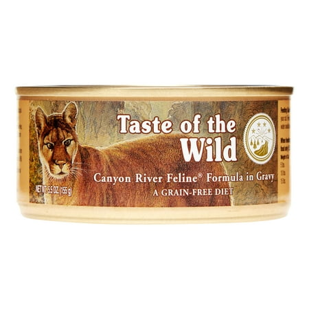 (24 Pack) Taste of the Wild Canyon River Grain-Free Wet Cat Food, 5.5 oz. (Best Tasting Wet Cat Food)