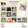 thumbnail image 2 of Shih Tzu Puppies | 2026 12x24" (Hanging) Square Wall Calendar | Plastic-Free, 2 of 9