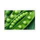 thumbnail image 3 of Pack de 24 Chicharos Herdez lata de 400 gr Herdez 400 gr, 3 of 3