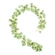 thumbnail image 1 of Simulación Vid Boda artificial colgantes Verde Gloria Hoja para colgar en la pared, 1 of 9