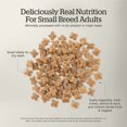 thumbnail image 5 of NOW FRESH, Adult GF Small Breed - Dry Dog Food, 5 of 5
