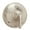Brushed Nickel, variant on Speakman CPT-10400-P-BN Chelsea Pressure Balance Diverter Shower Valve Trim, Brushed Nickel (Valve Not Included)