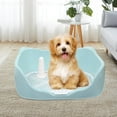 thumbnail image 6 of Puppy Dog Potty Tray with Removable Post Durable Measure 15.7x14x5.5inch for Blue, 6 of 8