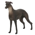 thumbnail image 2 of Modelo de animal en miniatura, juguete educativo para niños, modelo de perro, juguete para niños, verdadera excelencia, 2 of 12