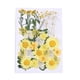 thumbnail image 4 of Ounissouiy Flores secas prensadas, artesanías florales mixtas, hermosos accesorios DIY, suministros para álbumes de recortes, artículos para el hogar, F 5piezas Ounissouiy CBP225272, 4 of 6