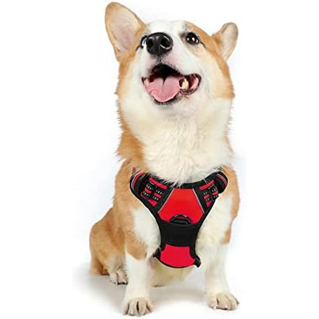 rabbitgoo Harnais pour Animaux Sans Traction avec 2 Pinces à Laisse Réglable Rembourré Doux Réfléchissant Gilet Oxford Sans Étranglement avec Poignée de Contrôle Facile pour Grands Chiens Rose L