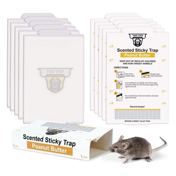 TwinTech Glue Mouse Trap for Indoor Home Use | Non-Toxic Glue Traps for Mice, Rats, and Insects | Natural Peanut Butter Scent | Extra Strength Pre-Baited Rodent Sticky Traps | 36-Pack