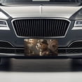 thumbnail image 3 of Cavapoo Dog Steampunk Metal Novelty License Plate, 3 of 7