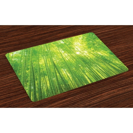 Bamboo Placemats Set of 4 Image of Bamboo Trees with Sun Rays in Rainforest Exotic Wildlife Plants Nature Zen Print, Washable Fabric Place Mats for Dining Room Kitchen Table Decor,Green, by (Best Place To Plant Bamboo)