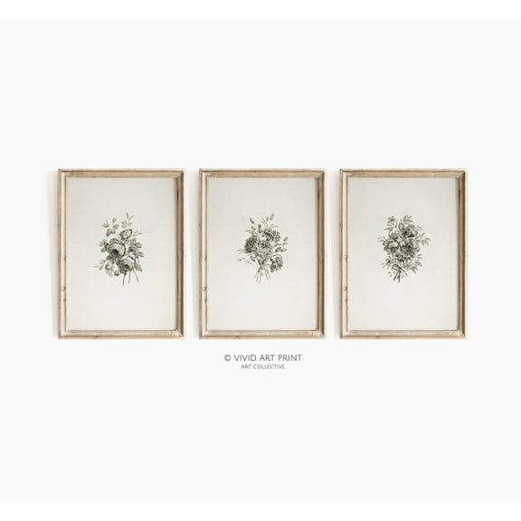 Luvia Botanical Floral Sketch Vintage Gallery Set Of 3, Classic, Modern Wall Decor Set 3 Prints 8x12 UNFRAMED