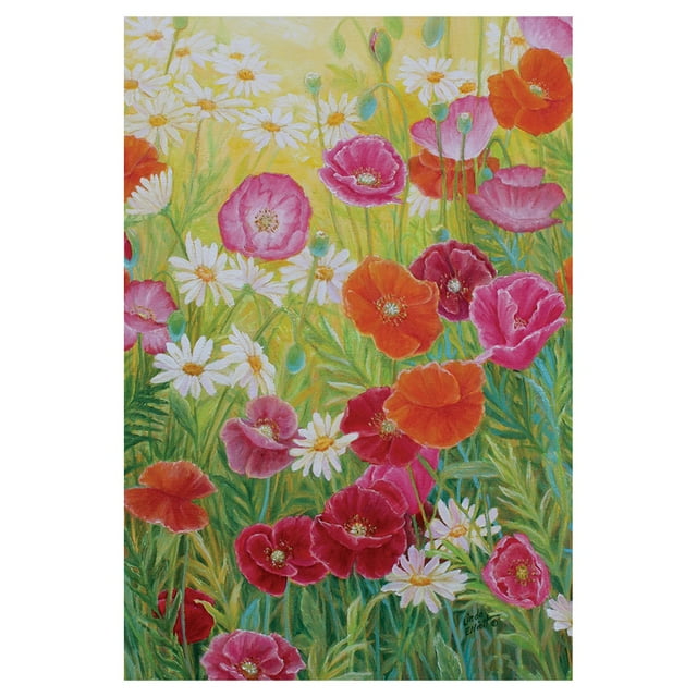 Toland Home Garden Marguerite Coquelicot Ravir 28 x 40 Pouces Décoratif Coloré Printemps Fleur Champ Maison Drapeau