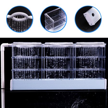 Aquarium Box Filter Moaere Aquarium Filter Fish Tank Upper Trickle Box Filters System Rain Drop Strainer for Fish Tank ()