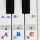thumbnail image 2 of Pegatina De Piano, Pegatina De Teclas, Material Más Delgado, Decoración De Piano Colorida Extraíble Para Principiantes, Accesorios De Teclado De 61 Teclas ANGGREK Piano Keyboard Sticker, 2 of 8