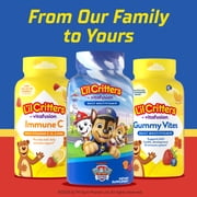 L’il Critters Paw Patrol Childrens Multivitamin Gummies for Childrens Health, Mixed Fruit, 60 Count