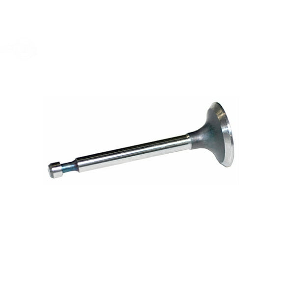 Valve Exhaust Fits B&S