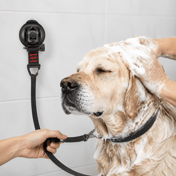 Powerful Suction Cup Dog Bath Restraint Leash, Adjustable Hands-Free Pet Shower Grooming Rope for Dogs Cats, Durable Washable Nylon Restraint for Bathing Washing Grooming