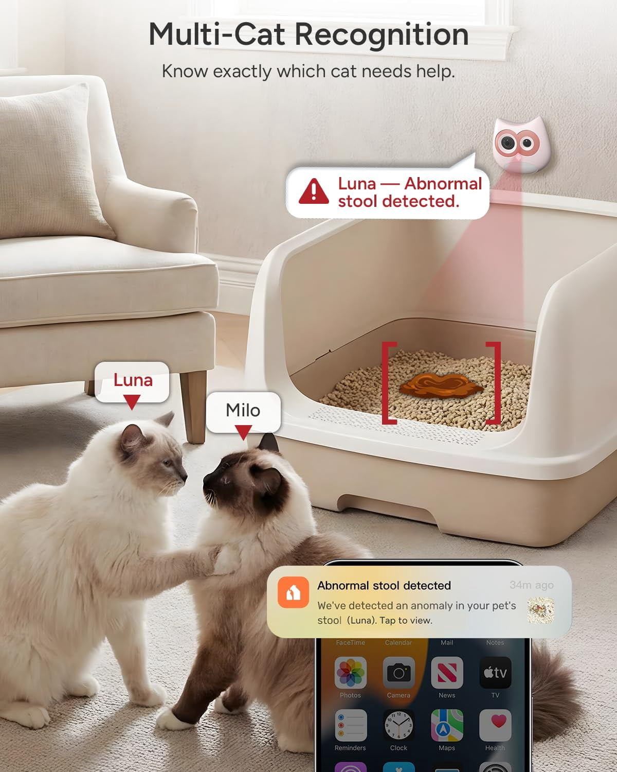 SiiPet Litter Box Camera,AI Cat Litter Lens Health Monitoring with Night Vision,Records Toileting Behavior,UTI/Diarrhea Abnormal Alerts,Gray