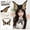 Camel, variant on Cat Wolf Fox Dog Ears Headband Handmade Faux fur Cosplay Halloween Costume Party,Handmade Animal Furry Ears Hair Hoop,Realistic Animal Ear Costume Accessory for Party Anime Cos Lolita Dress Up