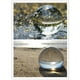 thumbnail image 5 of Accesorios de fotografía de esfera decorativa de bola de cristal de cristal transparente puro 50-100mm perfke Bola de cristal clara, 5 of 8