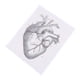 thumbnail image 1 of r Cartel Anatómico Del Corazón Humano Para Decoración De Interiores Pintura Decorativa Para Sala Cuadro Anatómico Educativo Para Escuela y Hospital, 1 of 5