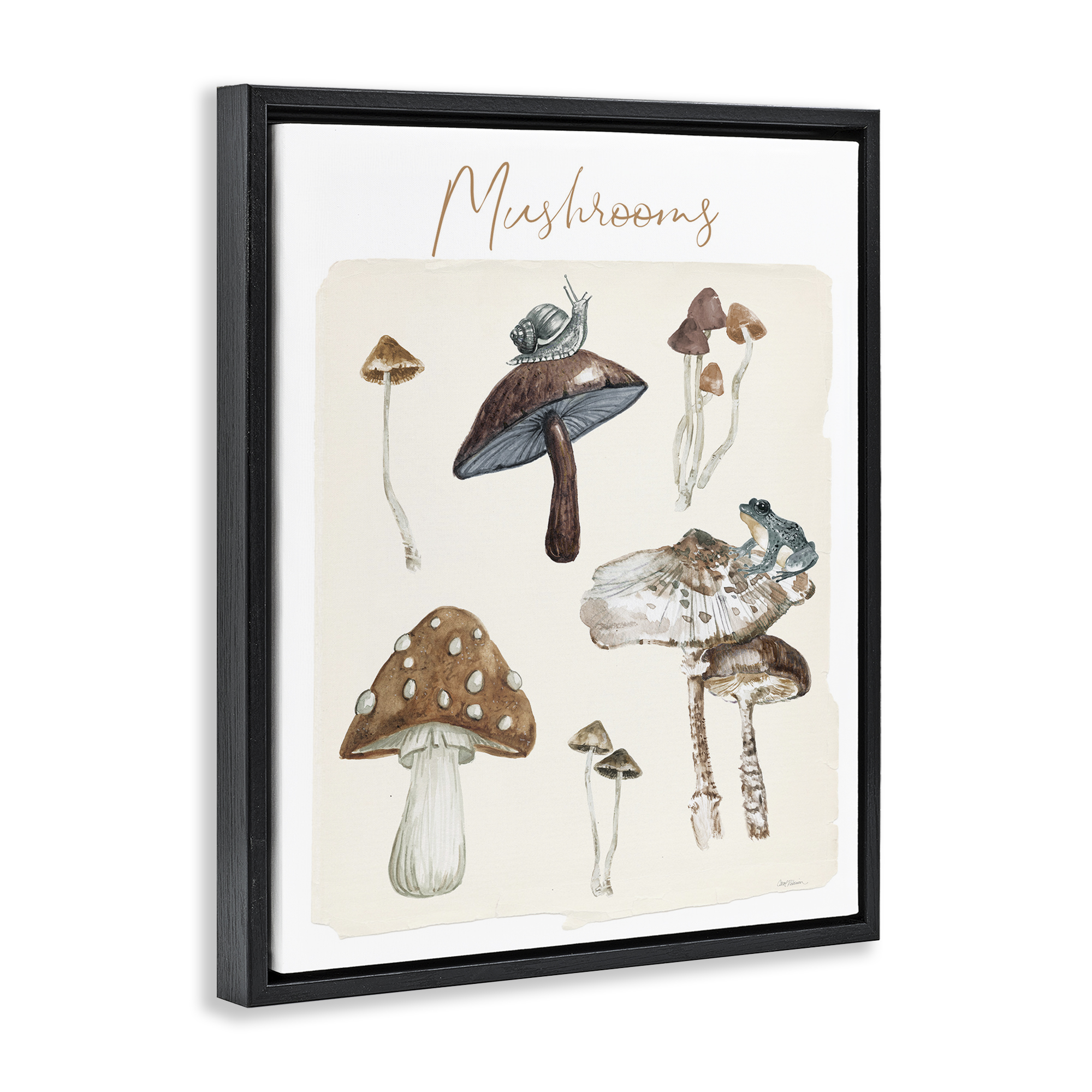 Stupell Industries Assorted Mushrooms Study Botanical & Floral Painting Black Floater Framed Art Print Wall Art, 25 x 31