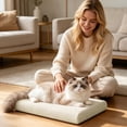thumbnail image 1 of Tong Ice Silk Mat With Ice Plate For Instant Removable Washable Breathable Cat And Summer Heat Mat, 1 of 4