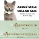 thumbnail image 2 of Cat Collar- Fluorescence Small Daisy Airtag Cat Collar Waterproof Airtag Holder Safety Buckle,Anti Strangling Cat Collar,Personalized Cat Collar, 2 of 5