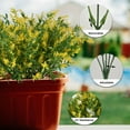 thumbnail image 6 of Coolmade 8 Bundles Artificial Lavender Flowers for Outdoor Decoration, UV Resistant Fake Shrubs Greenery Bushes House Office Garden Patio Indoor Outdoor Decor (Yellow), 6 of 7