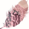 thumbnail image 3 of Cortina de plumas Luz Tira de luces LED Hada Cobre Cadena de luces para el dormitorio Sala de estar Decoración romántica Lampr Control remoto USB Caja de batería Pluma rosa brillar Juguete, 3 of 3
