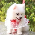 thumbnail image 6 of Bow Chest for Dog Cat Harness Leash Puppy Small Dogs Harnesses Vest for Chihuahua Yorkshire, 6 of 8