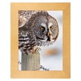 thumbnail image 5 of ArtToFrames 16" x 20" Metallic Gold Picture Frame, 16x20 inch Gold MDF Poster Frame (WOM-4500), 5 of 8