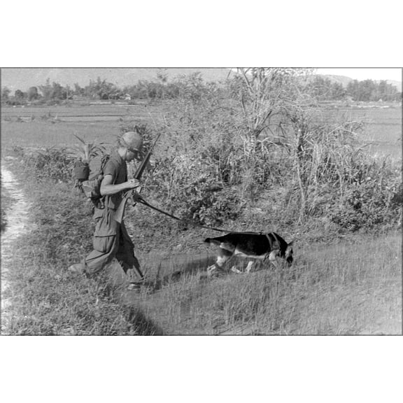 24"x36" Gallery Poster, SP4 Bealock and scout dog Chief on patrol in Vietnam