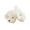 .White, variant on 16in Machine-Washable Plush Dog Toy - White Premium Fleece w/ Embroidered Safety Features | Portable Hug Companion for Kids Age 3+ White