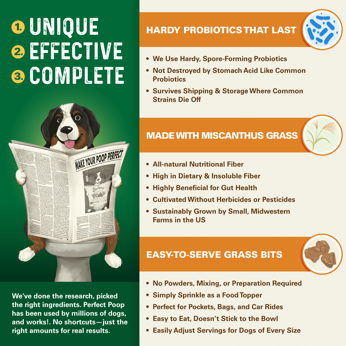 Bernie’s Perfect Poop Digestive Supplement for Dogs, 30 oz Cheddar, 4-in-1 Formula with Prebiotics, Probiotics, Fiber & Enzymes