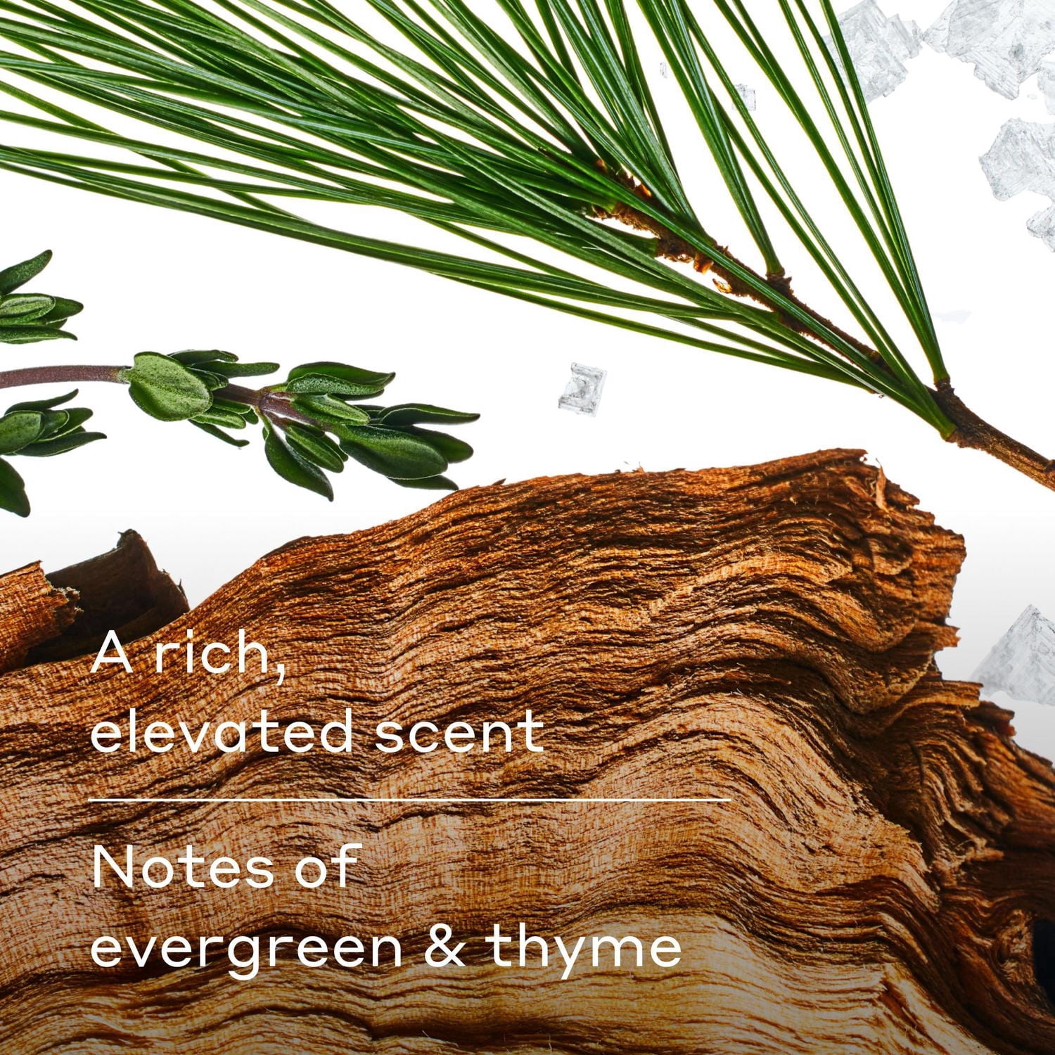 Harry's Redwood Body Wash