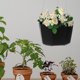 thumbnail image 4 of FENGGUIQU 2Ud Maceta Colgante Para Plantas Decorativas En Interiores Y Exteriores, 4 of 8