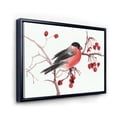 thumbnail image 3 of Designart 'Bullfinch Bird Sitting On A Branch' Traditional Framed Canvas Wall Art Print, 3 of 5