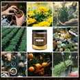 thumbnail image 6 of Soil Activator, Professional Bone Meal Fertilizer, Dirt Health Booster, Liquid Fertilizer for Indoor & Outdoor Plants Premium Soil Activated Treasure for Potting Mix, and Seedling Compost (2 PCS), 6 of 7
