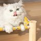 thumbnail image 5 of Cama plegable para mascotas ZJT250130061 | Cama elevada de madera maciza para perros y gatos con tapete de lino extraíble y lavable | Transpirable, refrescante en verano y para usar en cualqui, 5 of 5