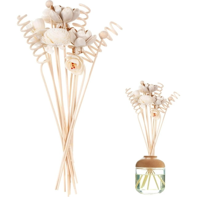 Haakong 13 Pcs Reed Diffuser Sticks Rattan Flower Reed Fragrance Diffuser Set Diffuser Sticks for Office Home Decor (Style 1, One Size)