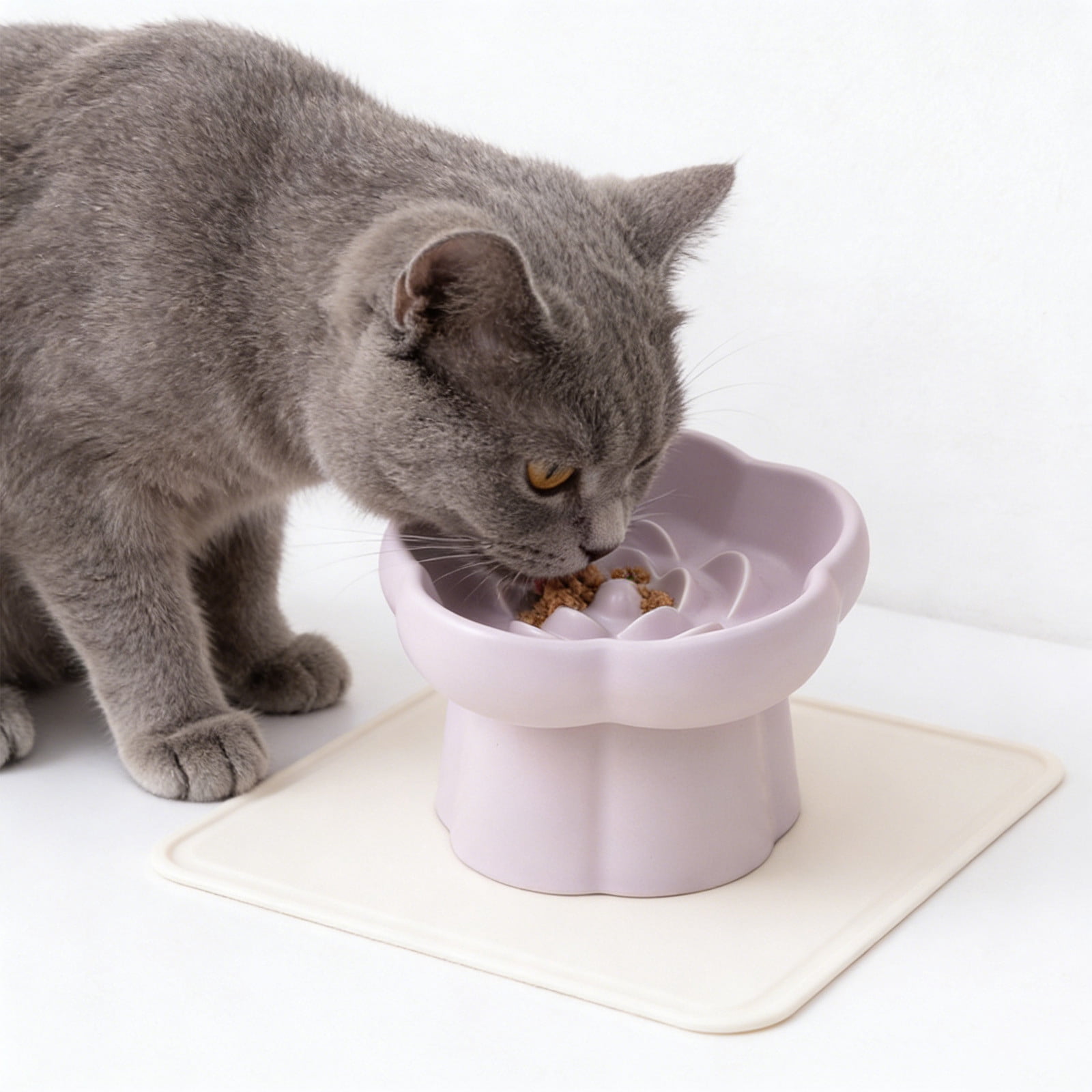 Tuvgenk Dog Bowl Slow Feeder Raised Neck Support Cat Bowl Stable Base Slant Layout Comfort Posture Prevent Fast Eating Habit
