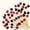 A, variant on 50pcs Casino Roostertail Picks - 4.7-Inch White Dice Toothpicks for Appetizers and Drinks - Perfect for Las Vegas Night and Casino Themed Parties