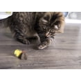 thumbnail image 3 of SmartyKat® Star Strung™ Compressed Catnip, 3 of 5