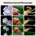 thumbnail image 2 of Microscopio Digital 500X Pantalla IPS 2 Pulgadas Lupa Electrónica para () Púrpura, 2 of 4
