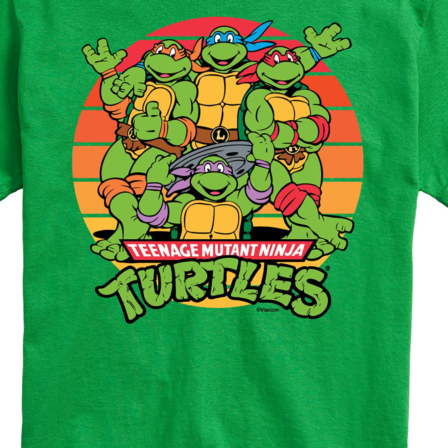 Teenage Mutant Ninja Turtles Retro Tear Through T-Shirt-Small, Women's, Green