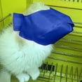 Dogs And Cats Accessories Shop Dog Accessories Accessories Dog Show Dog dogs-and-cats-accessories-shop-dog-accessories-accessories-dog-show-dog