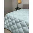 thumbnail image 2 of White Down Alternative Comforter, Graphic Design Detailed Drawings Curvy Rounded Circular Flowers Leaves Wildlife, Microfiber Quilt for All Season, 5 Sizes, Pale Blue White, by Ambesonne, 2 of 3