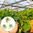 thumbnail image 2 of Bearachild Hojas falsas enredaderas plantas colgantes artificiales hoja interior para habitación jardín fiesta porche decoración accesorio tipo Type3 NO3, 2 of 6