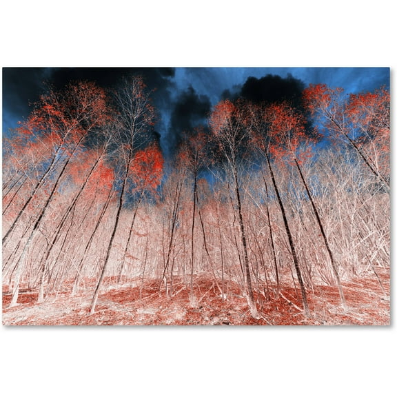 Trademark Fine Art "First Show" Canvas Art by Philippe Sainte-Laudy