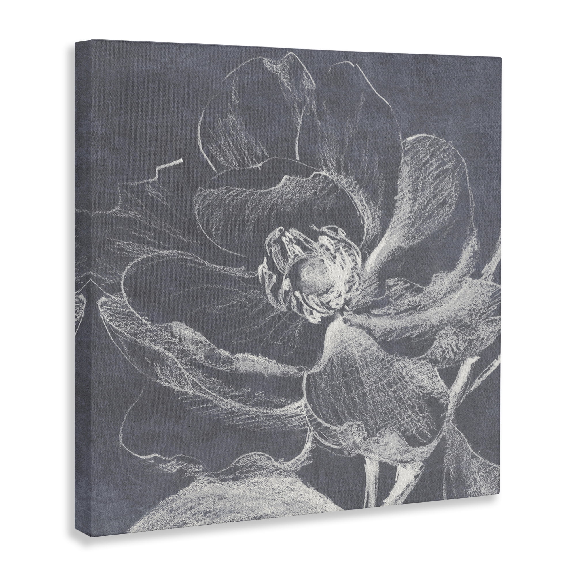Stupell Industries Magnolia Sketch Impression Plants & Flowers Drawing Wrapped Canvas Art Print Wall Art, 36 x 36